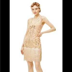 Elegant Beaded Fringe Flapper Dress Costume